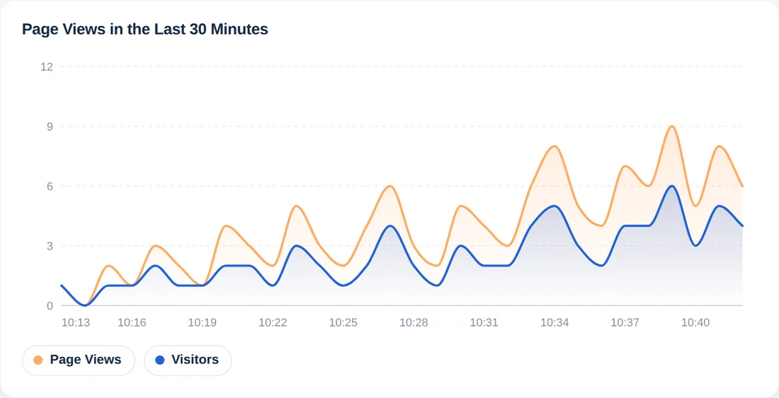 Grafico delle visualizzazioni di pagina e dei visitatori per ogni minuto degli ultimi 30 minuti