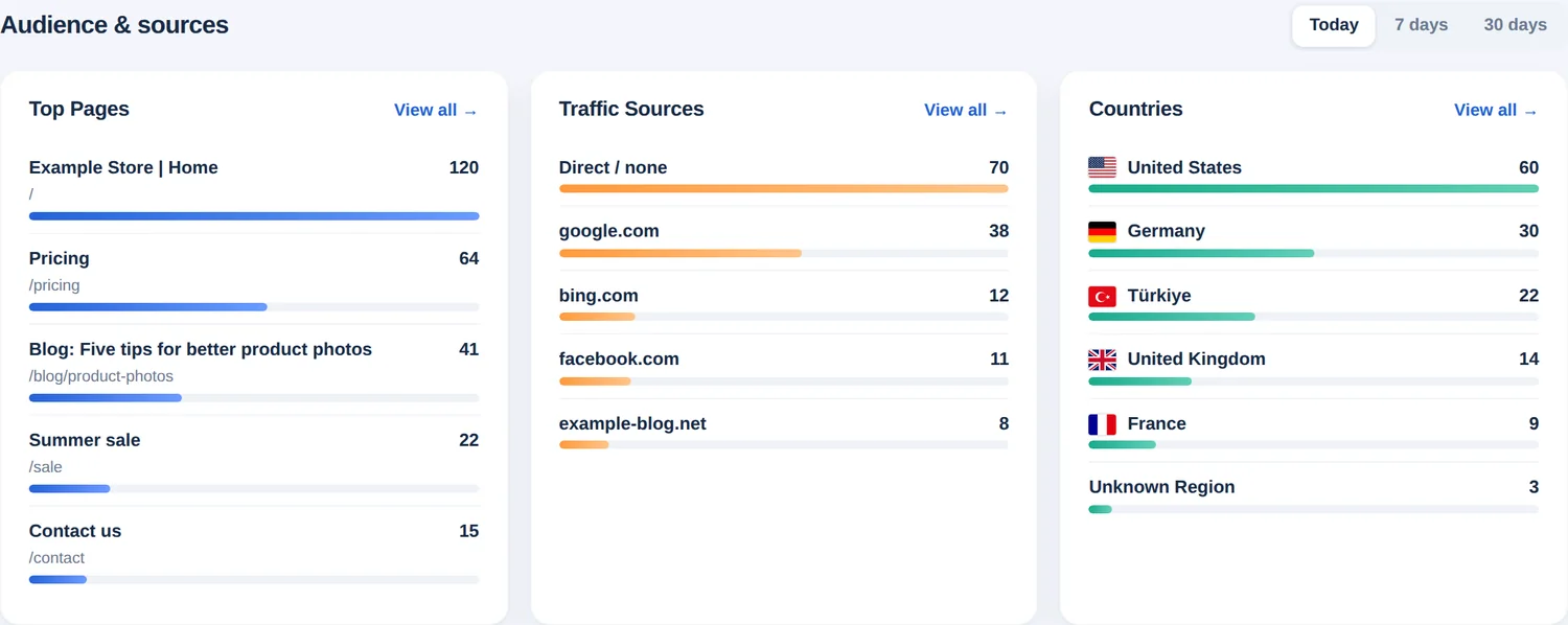 Schede pubblico e fonti: pagine più visitate, fonti di traffico e paesi