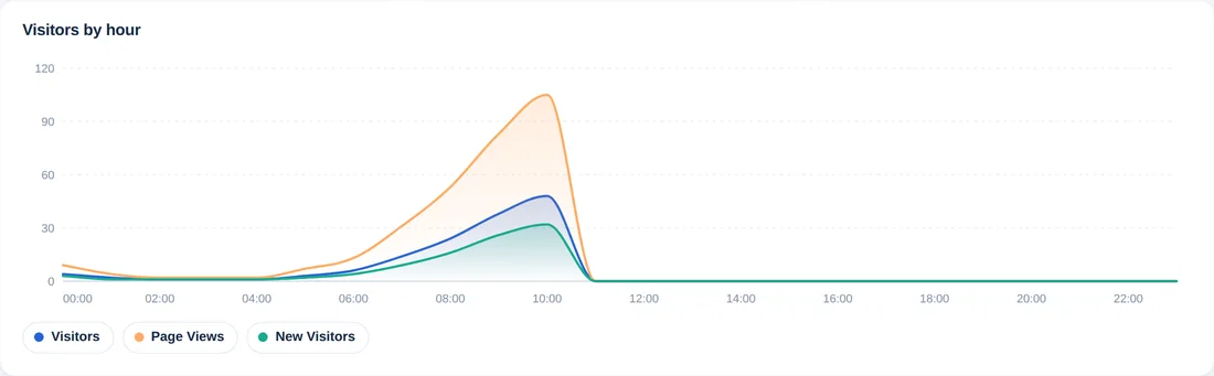 Grafico dei visitatori per ora con linee per visitatori, visualizzazioni di pagina e nuovi visitatori